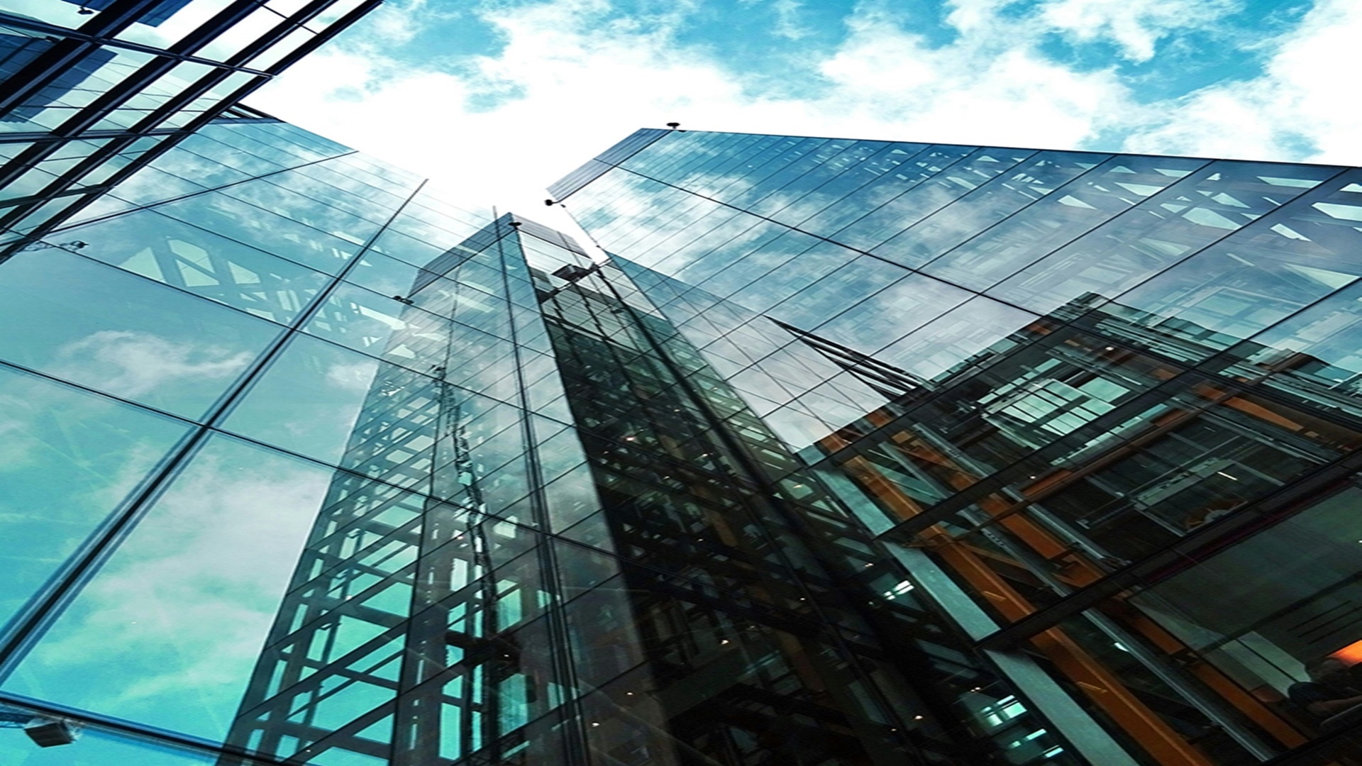 가경 홍골공원 아르보레